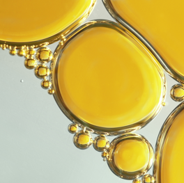 Pro-Ceramide
